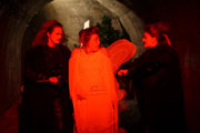 Sibylle Kos, Birgit C. Krammer, Christina Saginth